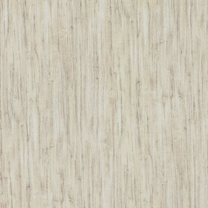 STROBUS PINE