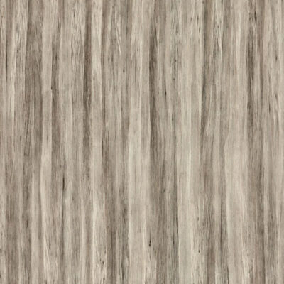 Taupe Tropical